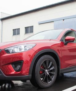 Японские диски RAYS VERSUS BLACK LABEL EPYON Вылет | Каталог Wheelsnheels.ru