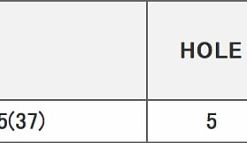 Японские диски RAYS VERSUS BLACK LABEL EPYON Параметры | Каталог Wheelsnheels.ru