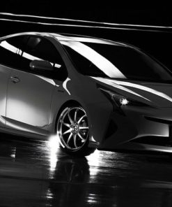 Японские диски TWS Airverde CF Вылет | Каталог Wheelsnheels.ru