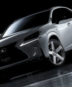 Японские диски TWS EXspur