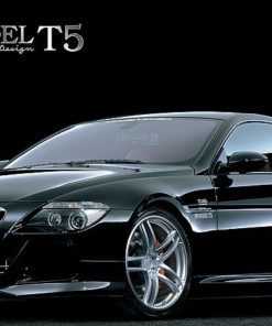 Японские диски Yokohama AVS MODEL T5 Вылет | Каталог Wheelsnheels.ru