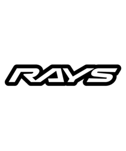 Диски RAYS