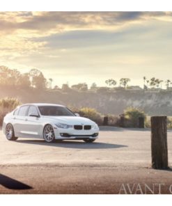 Оригинальные диски Avant Garde M590 фото и цена - Каталог Wheelsnheels.ru