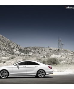 Оригинальные диски Blaque Diamond BD-6 фото и цена - Каталог Wheelsnheels.ru