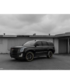 Оригинальные диски Niche Ascari фото и цена - Каталог Wheelsnheels.ru