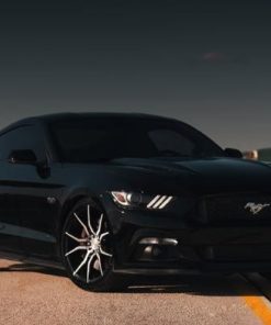 Оригинальные диски Niche Ascari фото и цена - Каталог Wheelsnheels.ru