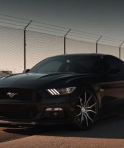 Оригинальные диски Niche Ascari фото и цена - Каталог Wheelsnheels.ru