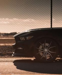 Оригинальные диски Niche Ascari фото и цена - Каталог Wheelsnheels.ru