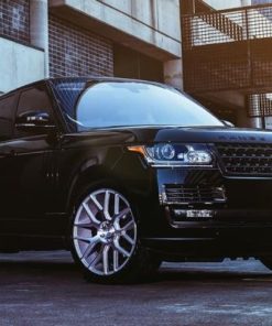 Оригинальные диски Niche Intake фото и цена - Каталог Wheelsnheels.ru