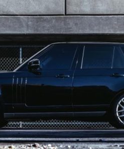 Оригинальные диски Niche Intake фото и цена - Каталог Wheelsnheels.ru