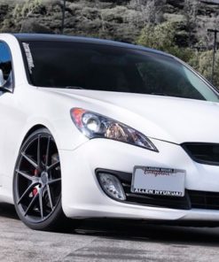 Оригинальные диски Niche Targa фото и цена - Каталог Wheelsnheels.ru