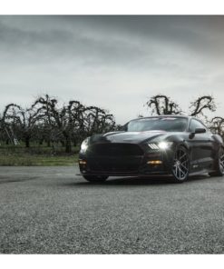 Оригинальные диски Vorsteiner V-FF 101 фото и цена - Каталог Wheelsnheels.ru