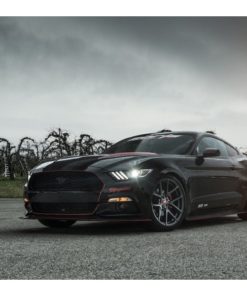 Оригинальные диски Vorsteiner V-FF 101 фото и цена - Каталог Wheelsnheels.ru