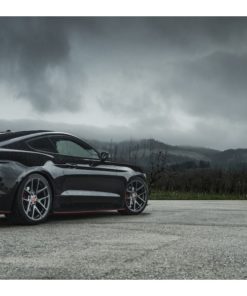 Оригинальные диски Vorsteiner V-FF 101 фото и цена - Каталог Wheelsnheels.ru
