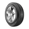 Шины Roadstone WinGuard ice Plus | Каталог Wheelsnheels.ru