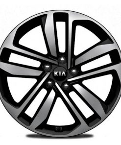 Диски Carwel Шунет 1612 | Каталог Wheelsnheels.ru