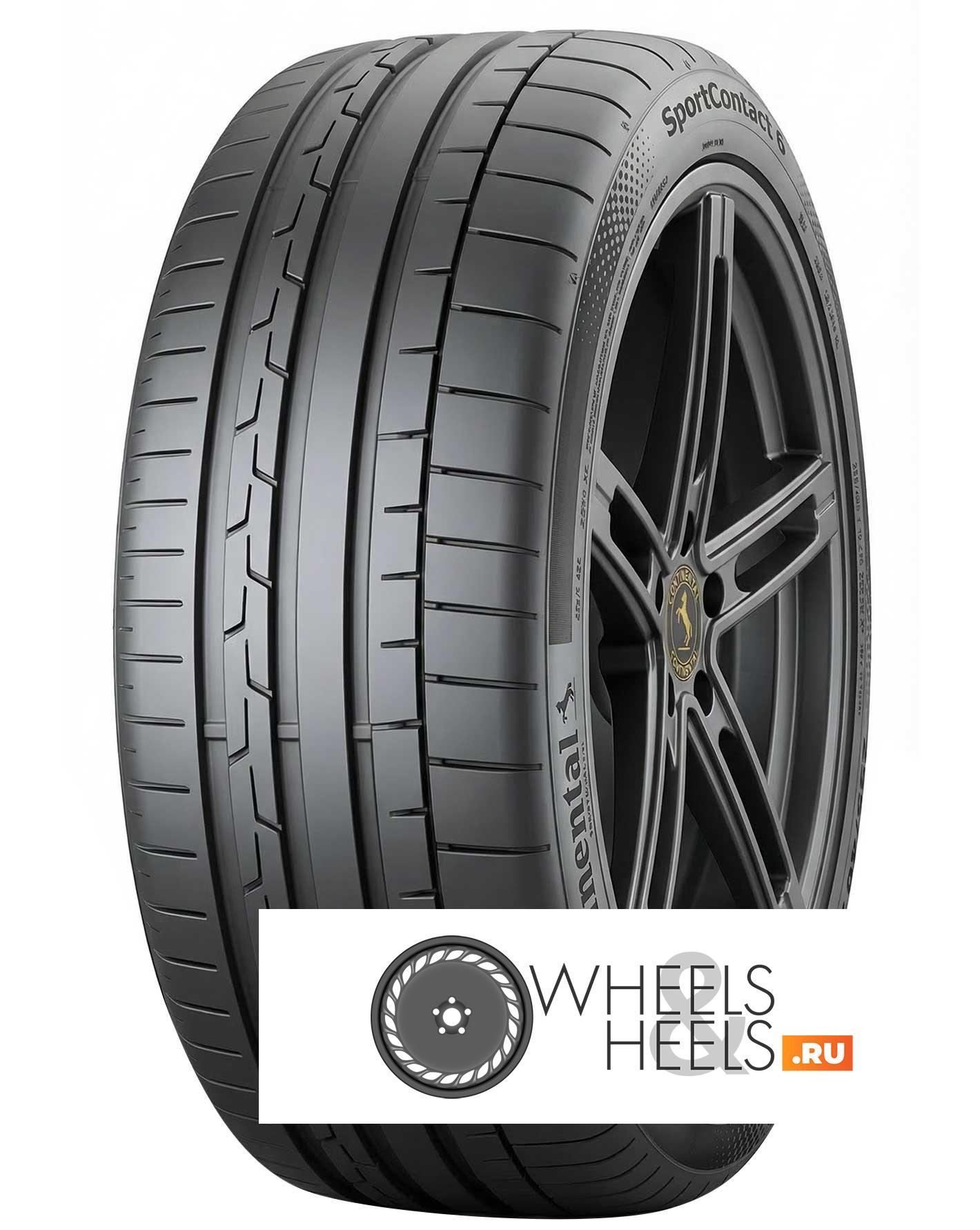 Шины Continental SportContact 6 | Каталог Wheelsnheels.ru