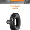 Шины TopTrust SH317 | Каталог Wheelsnheels.ru