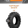 Шины TopTrust SH319 | Каталог Wheelsnheels.ru