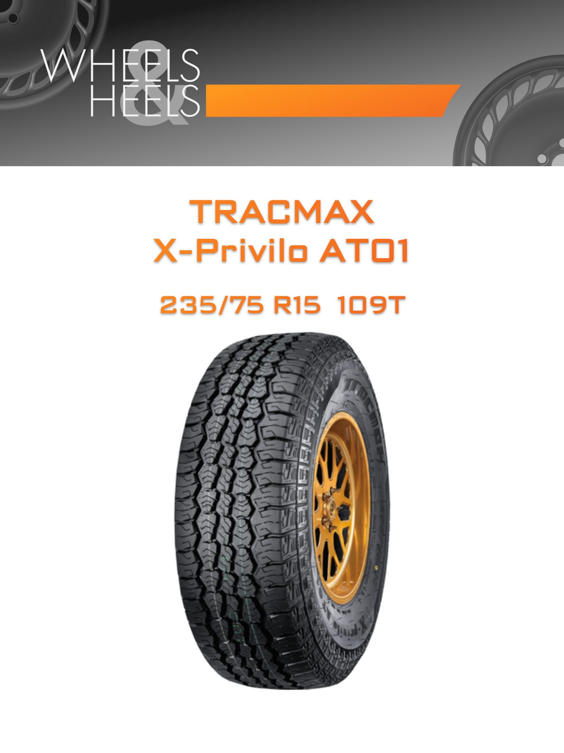 Шины Tracmax X-Privilo AT01 | Каталог Wheelsnheels.ru