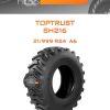 Шины TopTrust SH216 | Каталог Wheelsnheels.ru