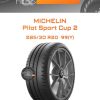 Шины Michelin Pilot Sport Cup 2 | Каталог Wheelsnheels.ru