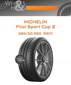 Шины Michelin Pilot Sport Cup 2 | Каталог Wheelsnheels.ru