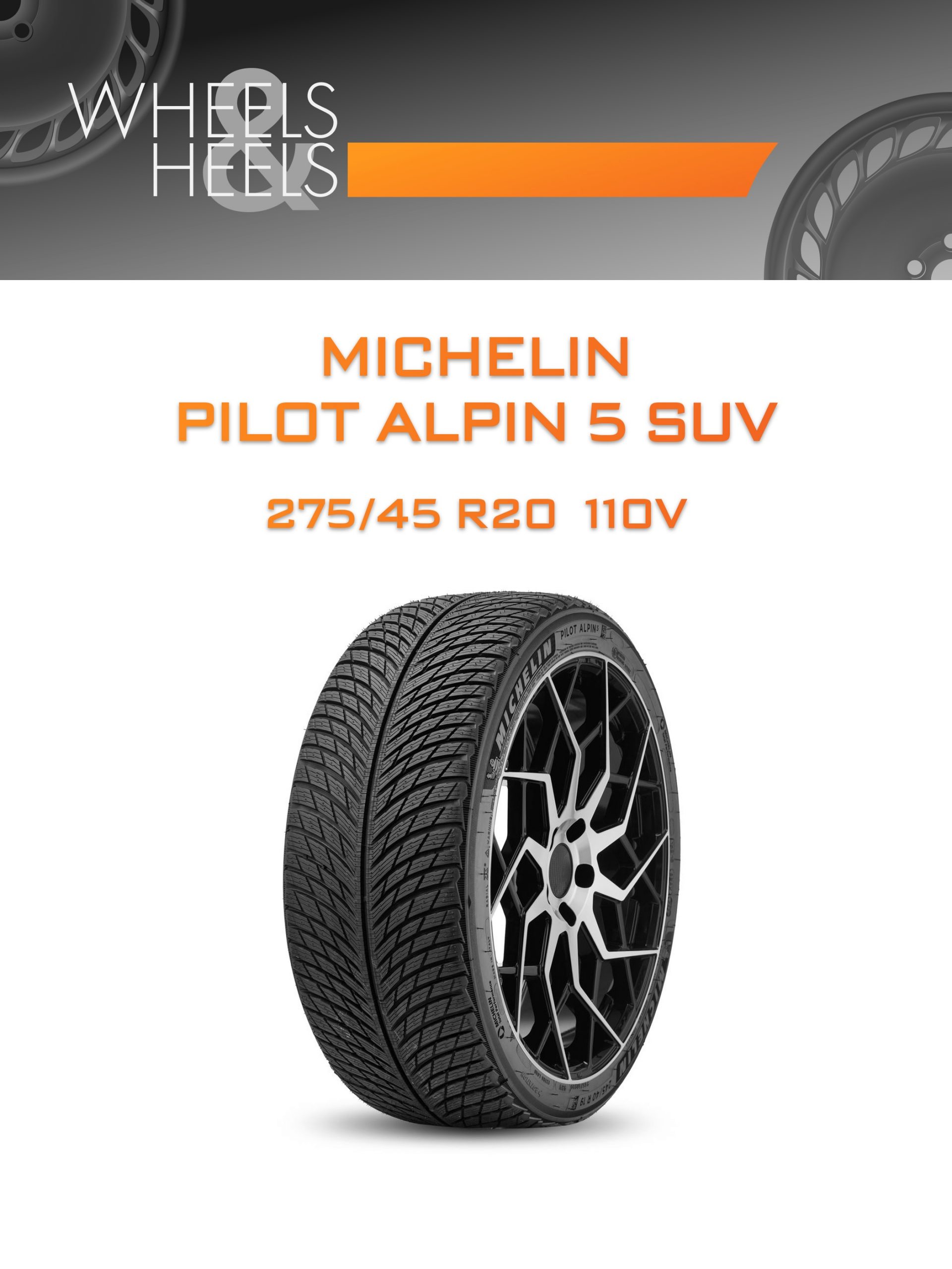 Шины Michelin PILOT ALPIN 5 SUV | Каталог Wheelsnheels.ru