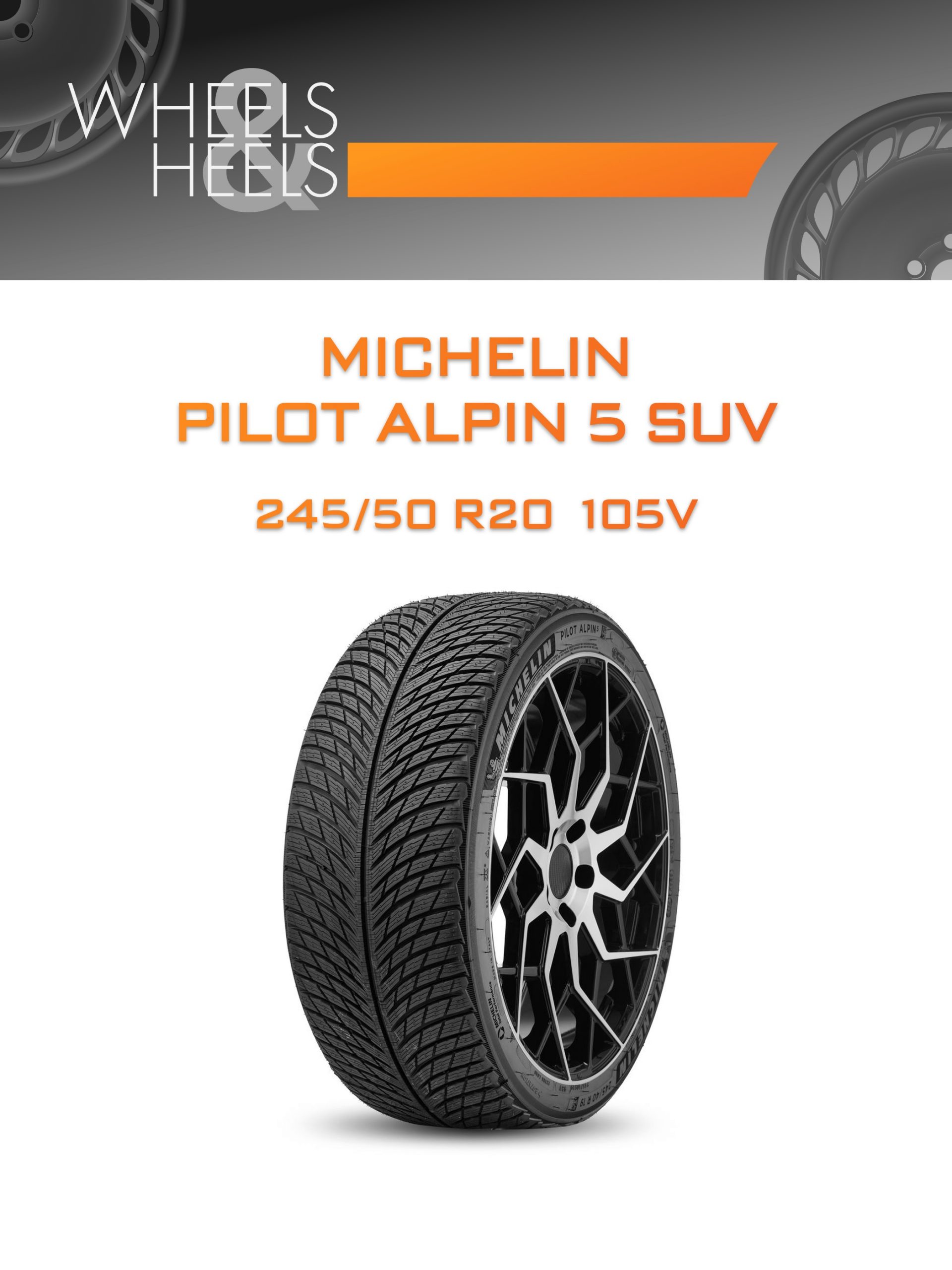 Шины Michelin PILOT ALPIN 5 SUV | Каталог Wheelsnheels.ru