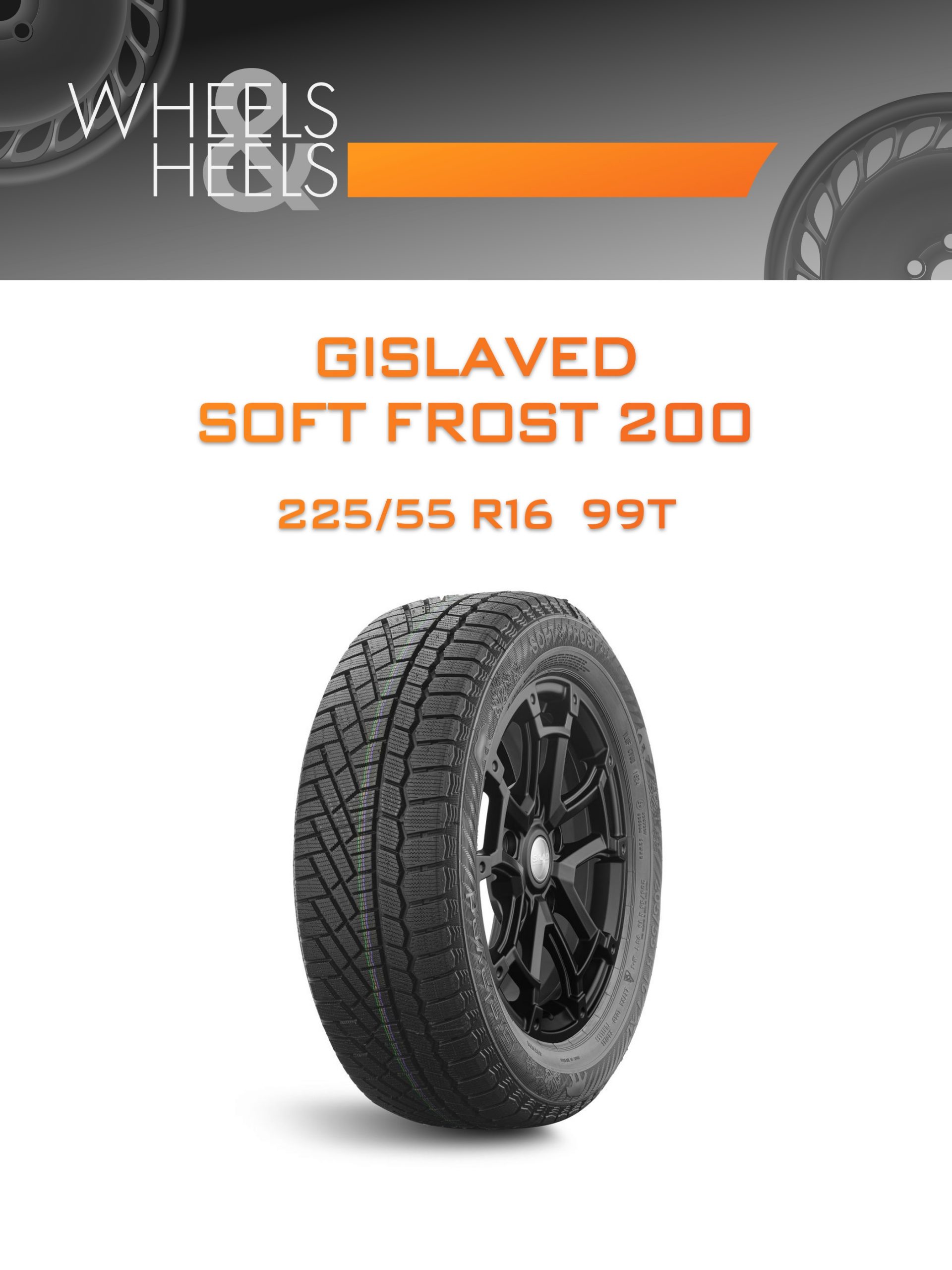 Шины Gislaved SOFT FROST 200 | Каталог Wheelsnheels.ru