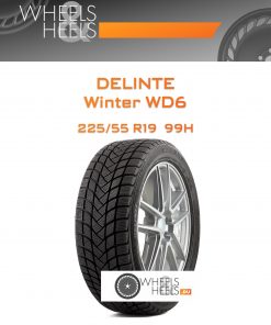 Шины Delinte Winter WD6 | Каталог Wheelsnheels.ru