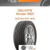 Шины Delinte Winter WD1 | Каталог Wheelsnheels.ru