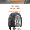 Шины Delinte Winter WD1 | Каталог Wheelsnheels.ru