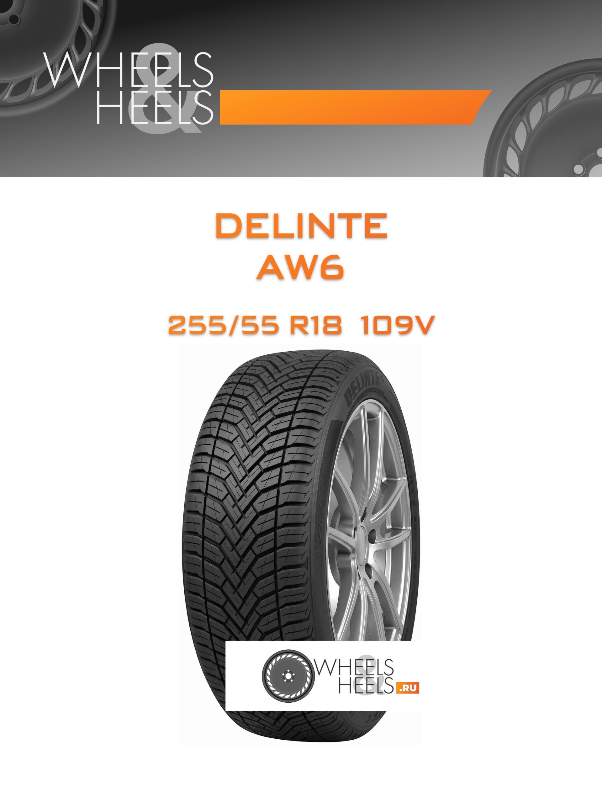 Шины Delinte AW6 | Каталог Wheelsnheels.ru
