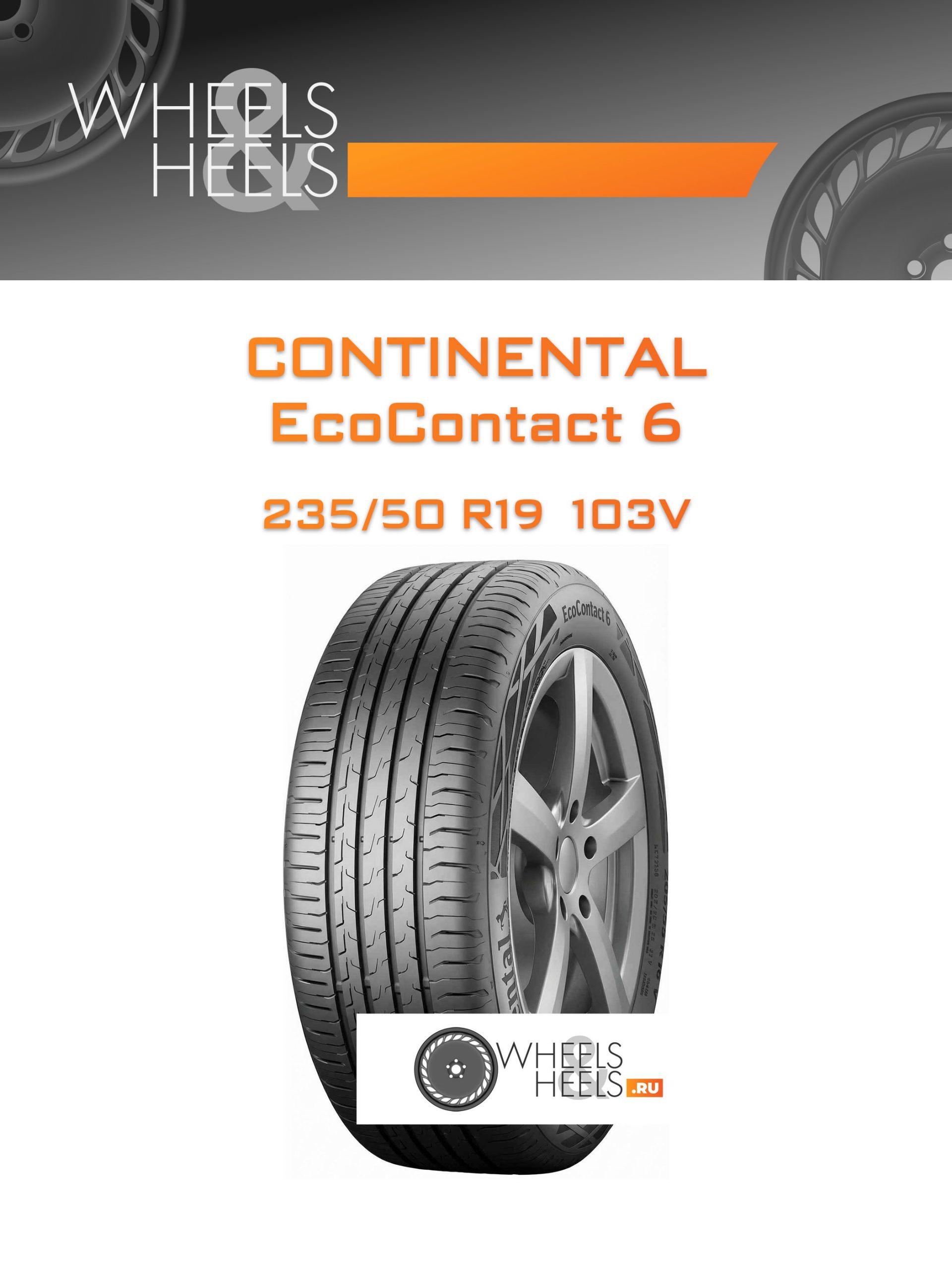 Шины Continental EcoContact 6 | Каталог Wheelsnheels.ru