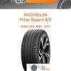 Шины Michelin Pilot Sport EV | Каталог Wheelsnheels.ru