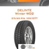 Шины Delinte Winter WD2 | Каталог Wheelsnheels.ru