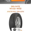 Шины Delinte Winter WD2 | Каталог Wheelsnheels.ru