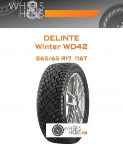 Шины Delinte Winter WD42 | Каталог Wheelsnheels.ru