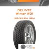 Шины Delinte Winter WD1 | Каталог Wheelsnheels.ru
