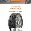Шины Delinte Winter WD1 | Каталог Wheelsnheels.ru