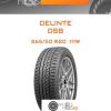 Шины Delinte DS8 | Каталог Wheelsnheels.ru