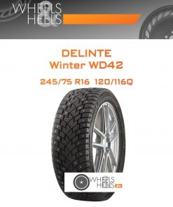 Шины Delinte Winter WD42 | Каталог Wheelsnheels.ru