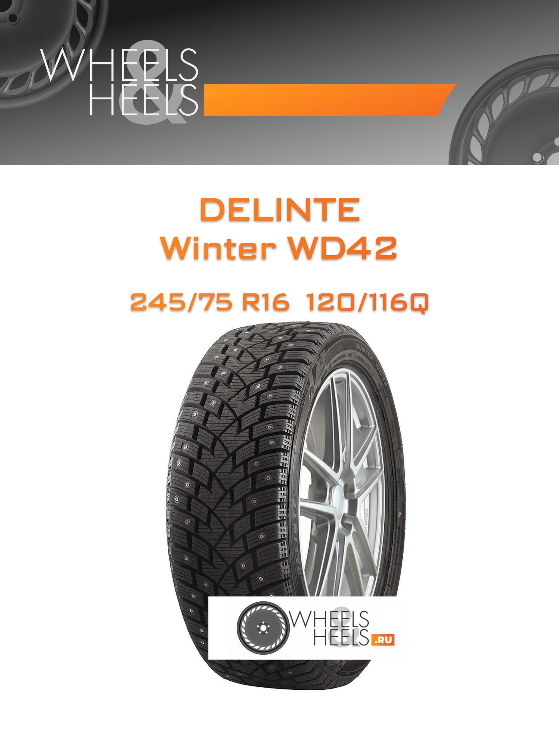 Шины Delinte Winter WD42 | Каталог Wheelsnheels.ru