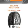Шины Delinte Winter WD6 | Каталог Wheelsnheels.ru