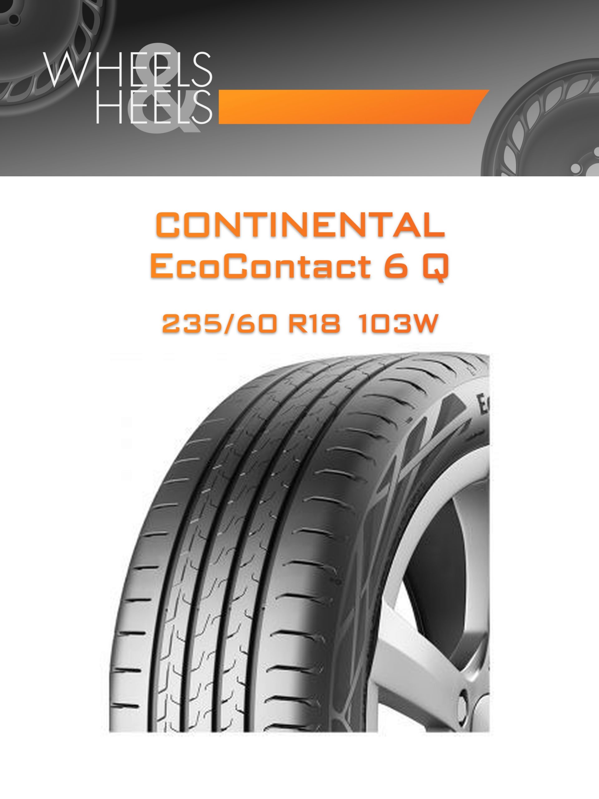 Шины CONTINENTAL EcoContact 6 Q | Каталог Wheelsnheels.ru