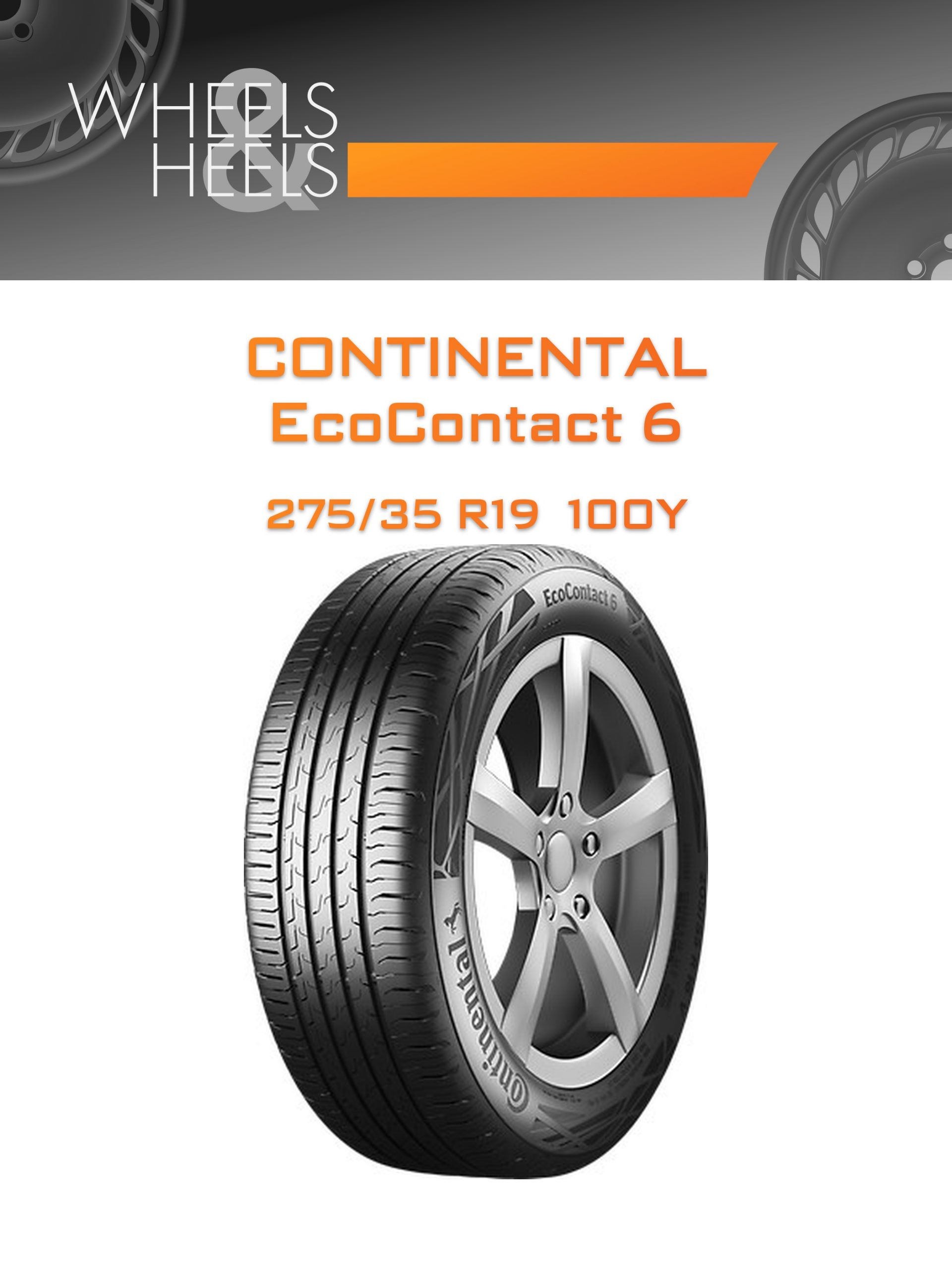 Шины CONTINENTAL EcoContact 6 | Каталог Wheelsnheels.ru