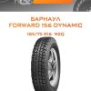 Шины Барнаул FORWARD 156 DYNAMIC | Каталог Wheelsnheels.ru