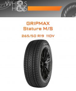 Шины GRIPMAX Stature M/S | Каталог Wheelsnheels.ru