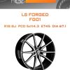 Диски LS Forged FG01 | Каталог Wheelsnheels.ru